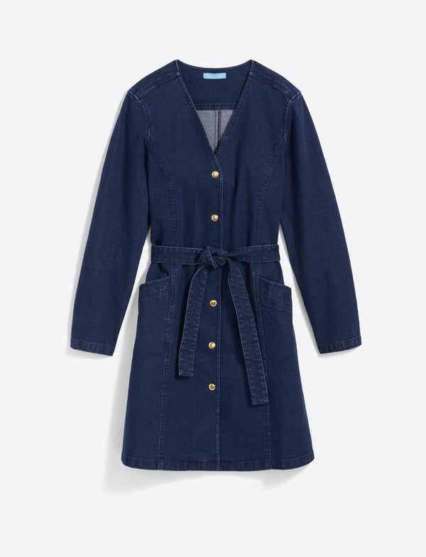 Colbie Snap Front Dress in Denim