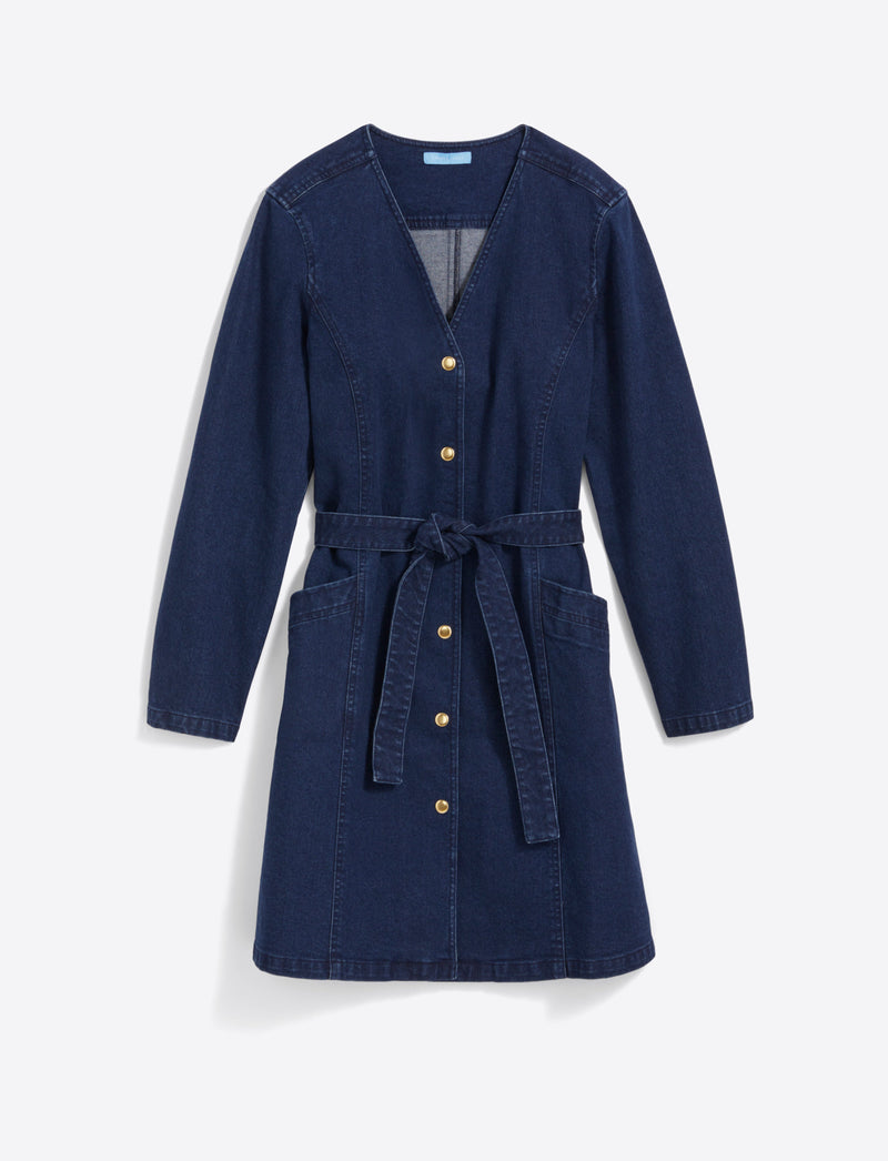 Colbie Snap Front Dress in Denim