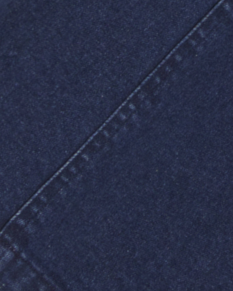 Colbie Snap Front Dress in Denim